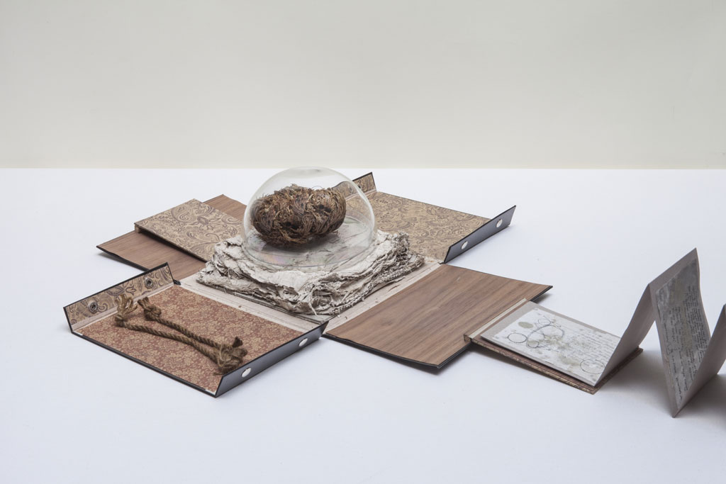 Ricardo Brey, Rose of Jericho, 2013–2014, Mixed media, Dimensions variable, © Ricardo Brey, Courtesy the artist and Alexander Gray Associates Gallery-New York