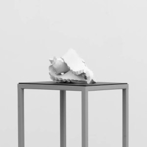 richard-salturn