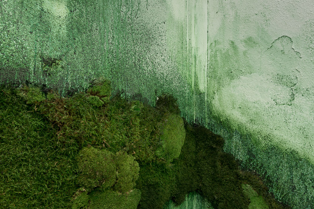 Jenna Sutela, Sporulating Paragraph, 2017, Courtesy of the artist and Momentum 9 (Photo: Istvan Virag, Copyright: Punkt Ø/Momentum 9)