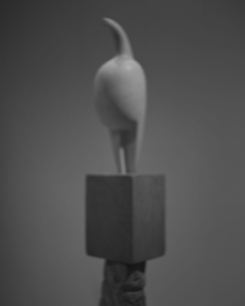 Hiroshi Sugimoto, Past Presence 022, Maiastra, Constantin Brancusi, 2013, Gelatin silver print, Image: 149.2 x 119.4 cm, Frame: 182.2 x 152.4 x 7.6 cm, © Hiroshi Sugimoto, Courtesy the artist and Marian Goodman Gallery