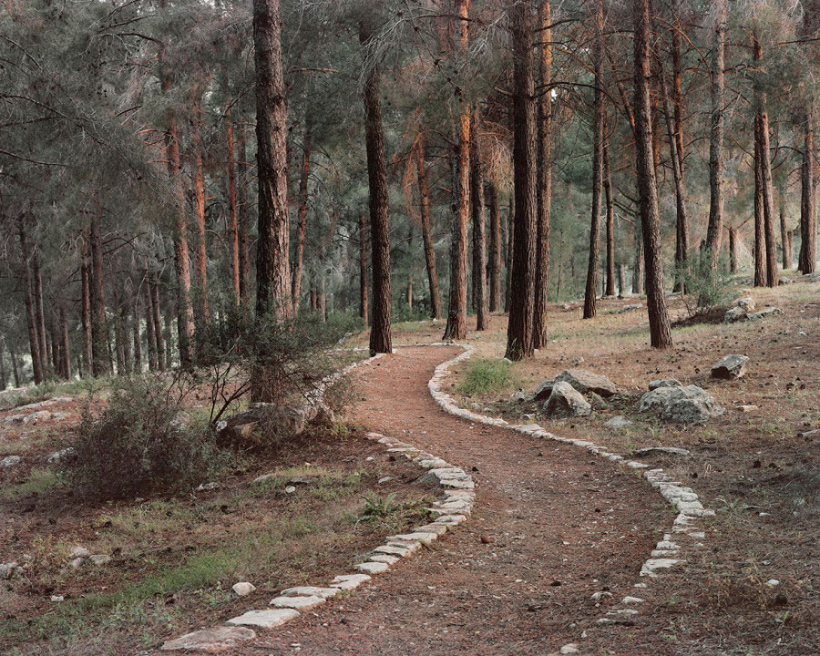 Roei Greenberg, Stone Carved Trail, Ein-Zeitim, Galilee, Israel (From “Along The Break”), 2018, Direct print onto diabond (4X5 colour negative, scanned digitally), © Roei Greenberg, Courtesy the artist and Bloomberg New Contemporaries