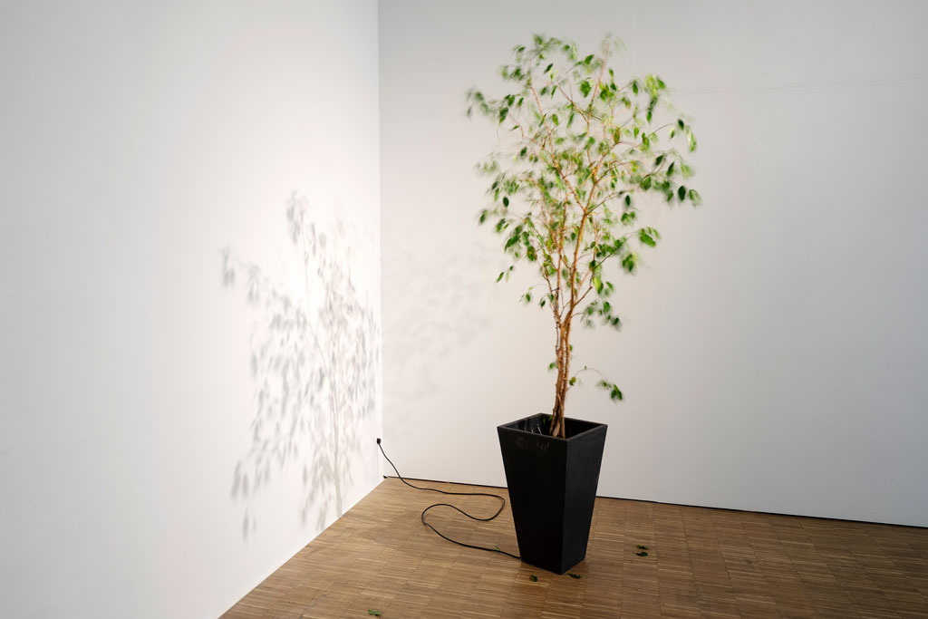Paul Spendier, Unitled (Ficus Benjamini), 2019, engine, springs, flower pots, ficus benjamini 60 x 60 x 230 cm, courtesy of the artist. Exhibition view Petition, Salzburger Kunstverein 2019, Photo: Andrew Phelps, © Salzburger Kunstverein