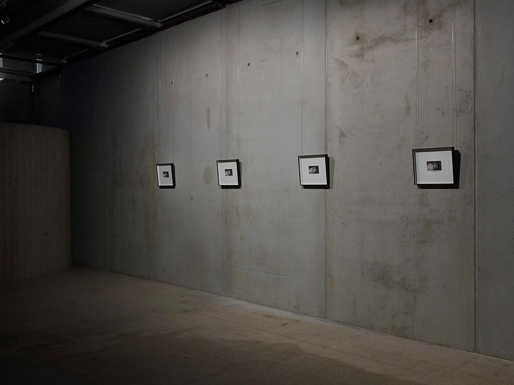 Tacita Dean: Ant, Teotihuacán, 2016. (Ants, Teotihuacán), Cover color for four postcards, Courtesy the artist, EMMA - Espoo Museum of Modern Art. Photo: Ari Karttunen / EMMA