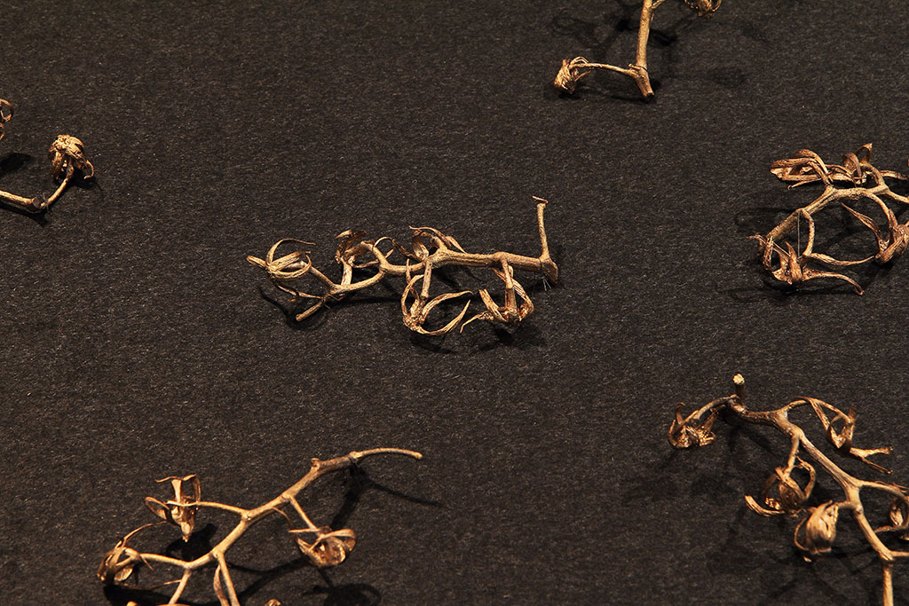 Simon Wachsmuth, Of Copying, 2004, Bronze casts of tomato panicles, Group of 3 pieces, various sizes, each unique, 2004, © Simon Wachsmuth, Courtesy the artist and Zilberman Gallery