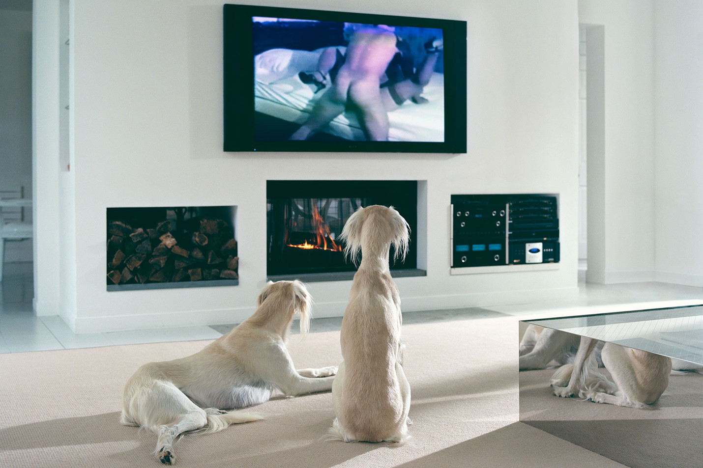 Philip-Lorca diCorcia, The Hamptons, 2008 , Inkjet print, 40 x 60 inches (101.6 x 152.4 cm) , © Philip-Lorca diCorcia, Courtesy the artist and David Zwirner Gallery