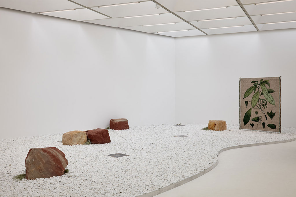 Otobong Nkanga, Taste of a Stone – Iko, 2016, 10 photographic images inkjet-printed on natural chalk white limestone slabs, wooden frames, white pebbles, one woven textile, Tillandsia plants, Muehlenbeckia complexa, Ficus pumila ‘variegata’, Cladonia rangiferina, 6 variable sizes of rocks from the region around, © Otobong Nkanga, photo: Stuart Whipps