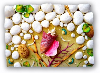 Piero Gilardi, Conchiglia e spugna, 2019, Polyurethane foam, under plexiglas cover, 50 x 70 x 20,5 cm, unique, © Piero Gilardi, Courtesy the artist and Michel Rein Gallery