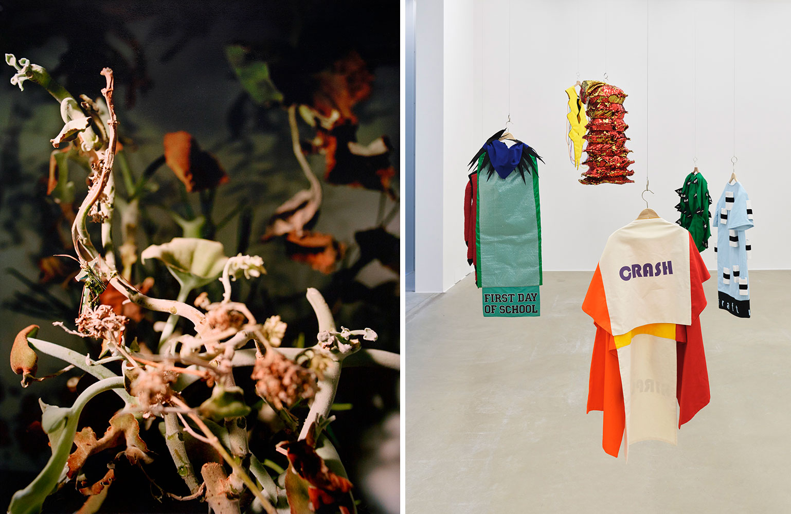 Left: Joachim Koester, Idolomantis Diabolica, 2015, Inkjet Print, 109 x 84 cm, Collection Frac Normandie Rouen, © Joachim Koester Right: Rivane Neuenschwander (in collaboration with Guto Carvalhoneto and Lucas Nascimento), The Name of Fear, 2013, Installation view Aargauer Kunsthaus-Aarau, 2021, Photo: Conradin Frei-Zurich, Courtesy Aargauer Kunsthaus