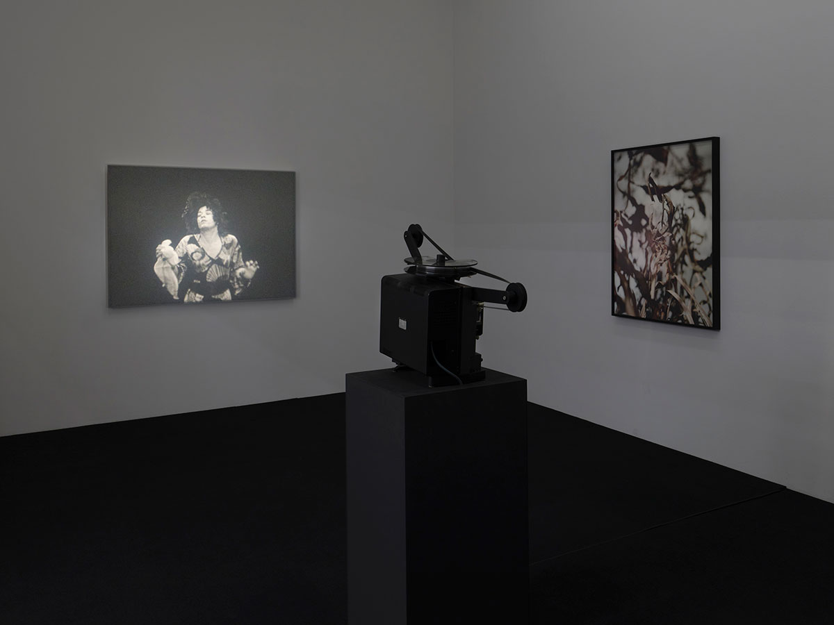 Joachim Koester, Tarantism, 2007 & Violin Mantis, 2015, Installation view Aargauer Kunsthaus-Aarau, 2021, Photo: Conradin Frei-Zurich, Courtesy Aargauer Kunsthaus