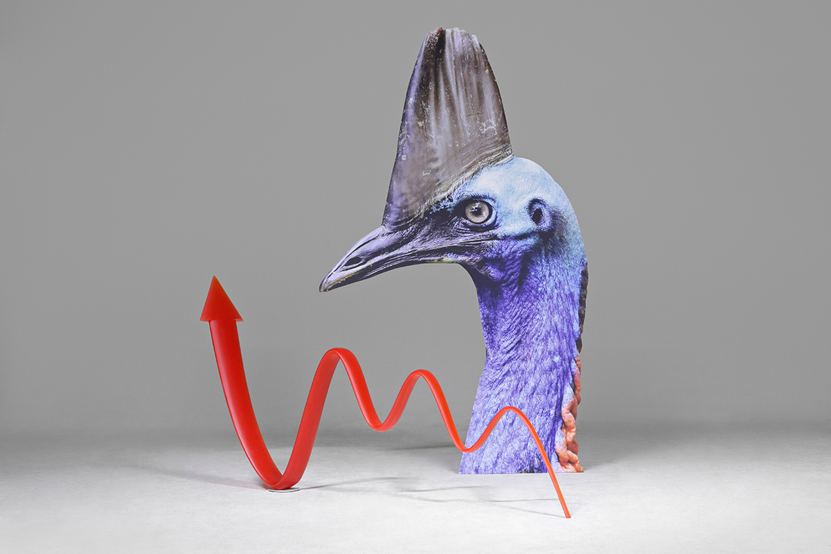 Katja Novitskova, Pattern of Activation (emu), 2014 | Photo: Hans-Georg Gaul / Courtesy of the artist and Gaby and Wilhelm Schürmann Collection