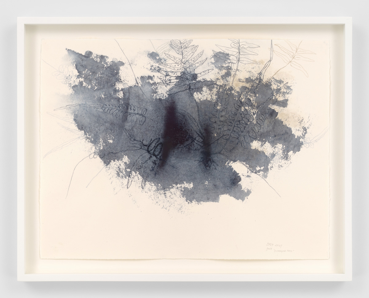 Ricardo Brey, Foggy, Interrupted Fern, 2021, Mixed media on paper, 19 3/8 x 26 in (49.2 x 66 cm), 23 1/2 x 29 3/4 x 2 in framed (59.7 x 75.6 x 5.1 cm framed), © Ricardo Brey, Courtesy the artist and Alexander Gray Associates