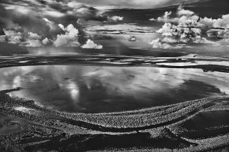 Sebastião Salgado, Anavilhanas, isole boscose del Río Negro. Stato di Amazonas, Brasile, 2009, © Sebastião Salgado/Contrasto