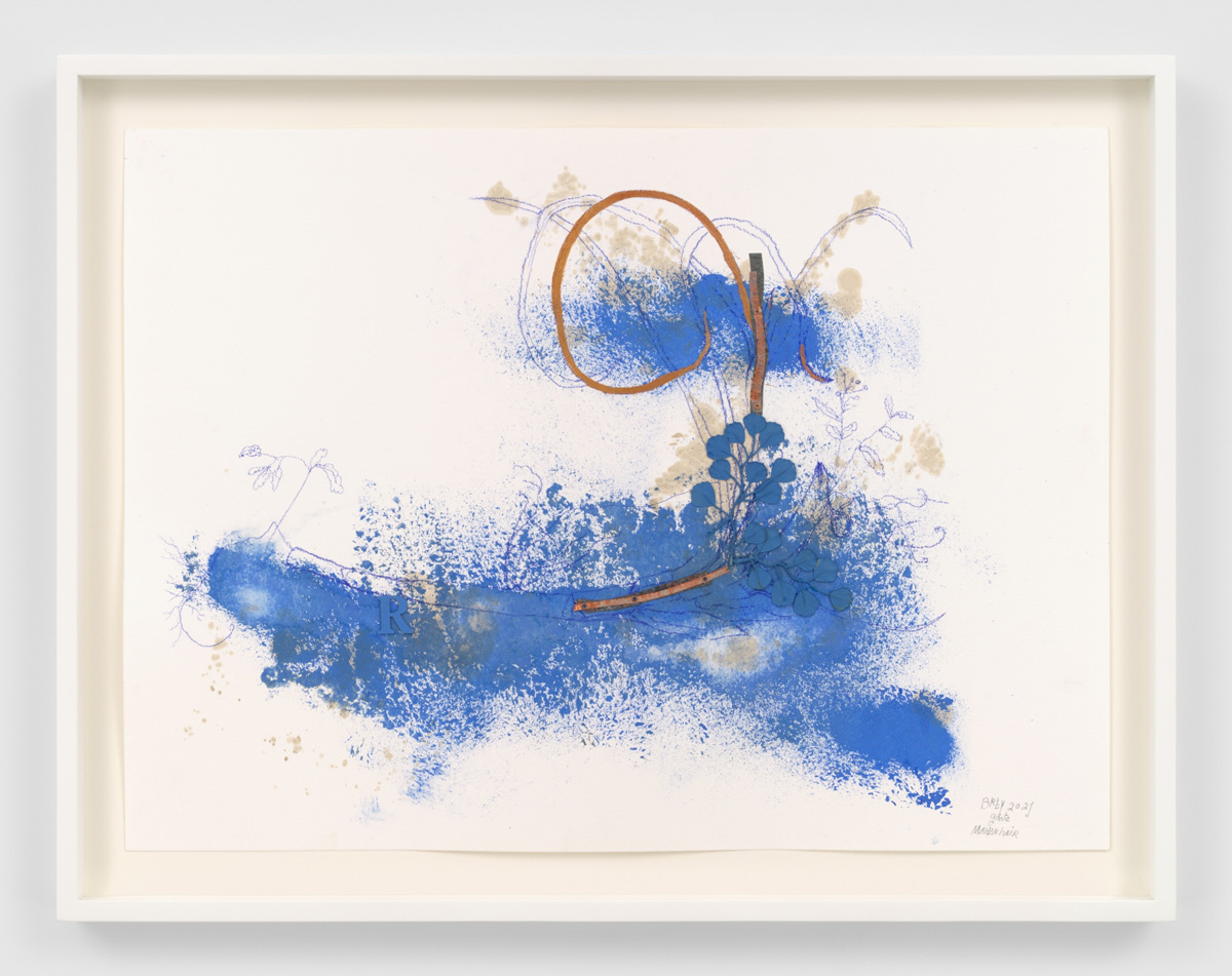 Ricardo Brey, Maidenhair, 2021, Mixed media on paper, 22 x 30 in (55.9 x 76.2 cm), 26 1/4 x 33 3/4 x 2 in framed (66.7 x 85.7 x 5.1 cm framed), © Ricardo Brey, Courtesy the artist and Alexander Gray Associates