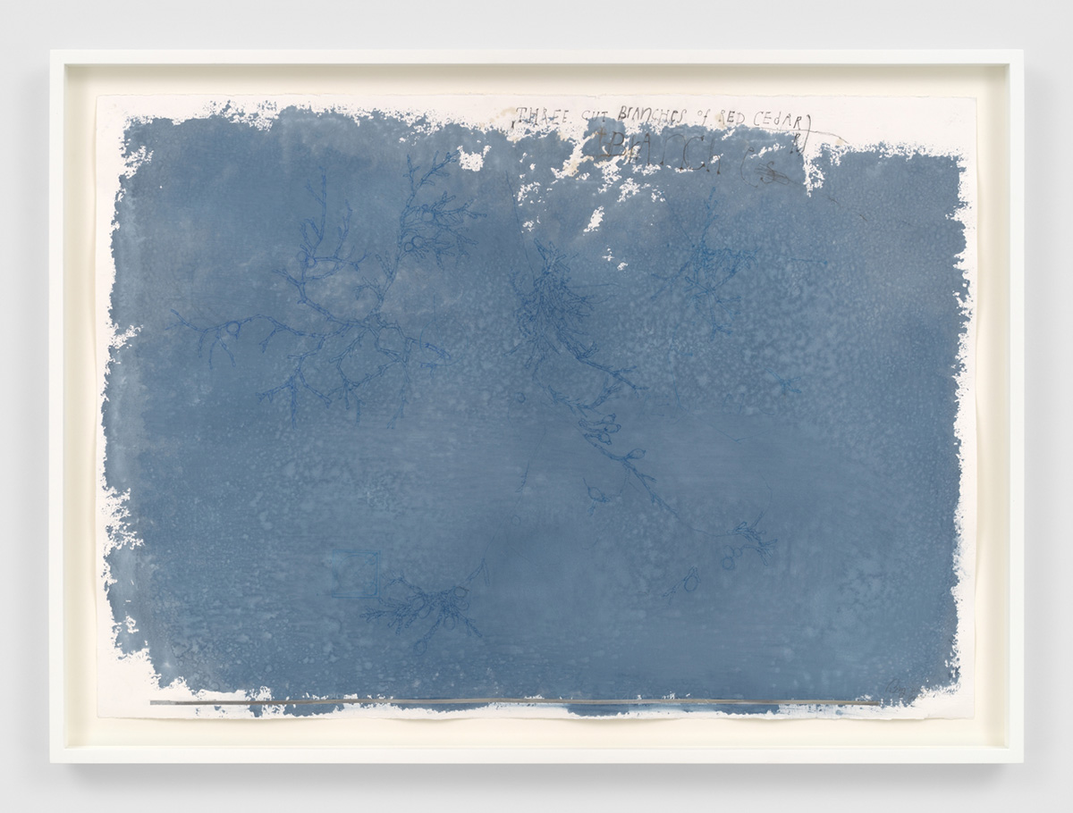 Ricardo Brey, Three Branches of Red Cedar, 2021, Mixed media on paper, 27 3/4 x 39 1/4 in (70.5 x 99.7 cm), 31 5/8 x 43 1/8 x 2 in framed (80.3 x 109.5 x 5.1 cm framed), © Ricardo Brey, Courtesy the artist and Alexander Gray Associates