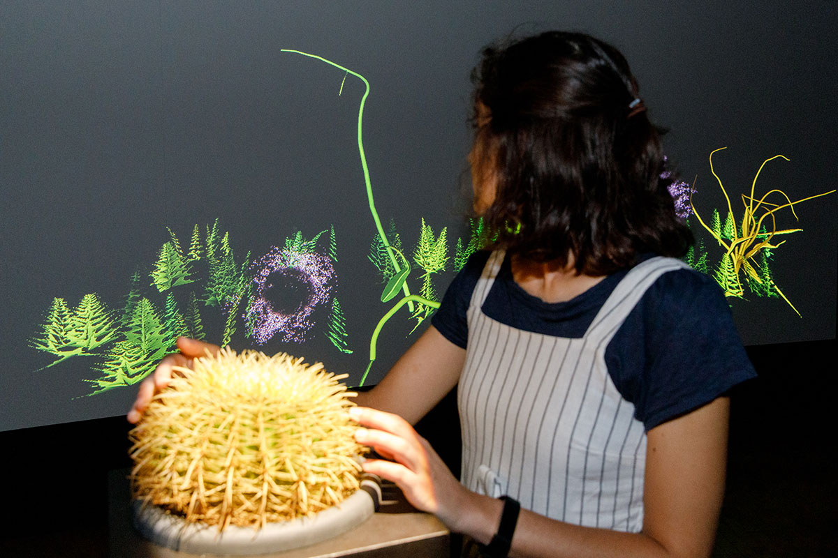 Christa Sommerer/ Laurent Mignonneau, Interactive Plant Growing, 1993, © ZKM | Center for Art and Media Karlsruhe, Photo: Felix Grünschloss