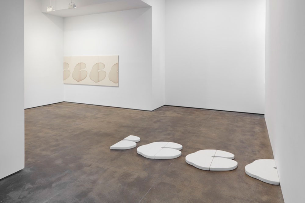 Landon Metz, Hatje Cantz Publications, Photo Courtesy von Bartha, Basel