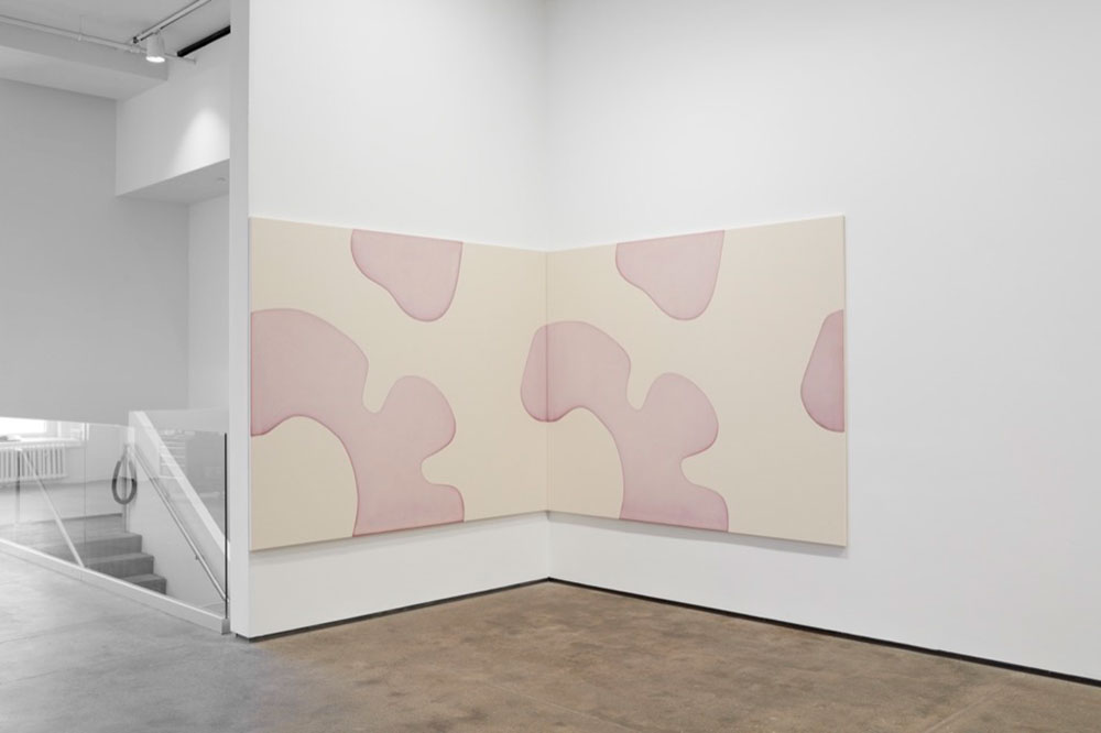 Landon Metz, Hatje Cantz Publications, Photo Courtesy von Bartha, Basel