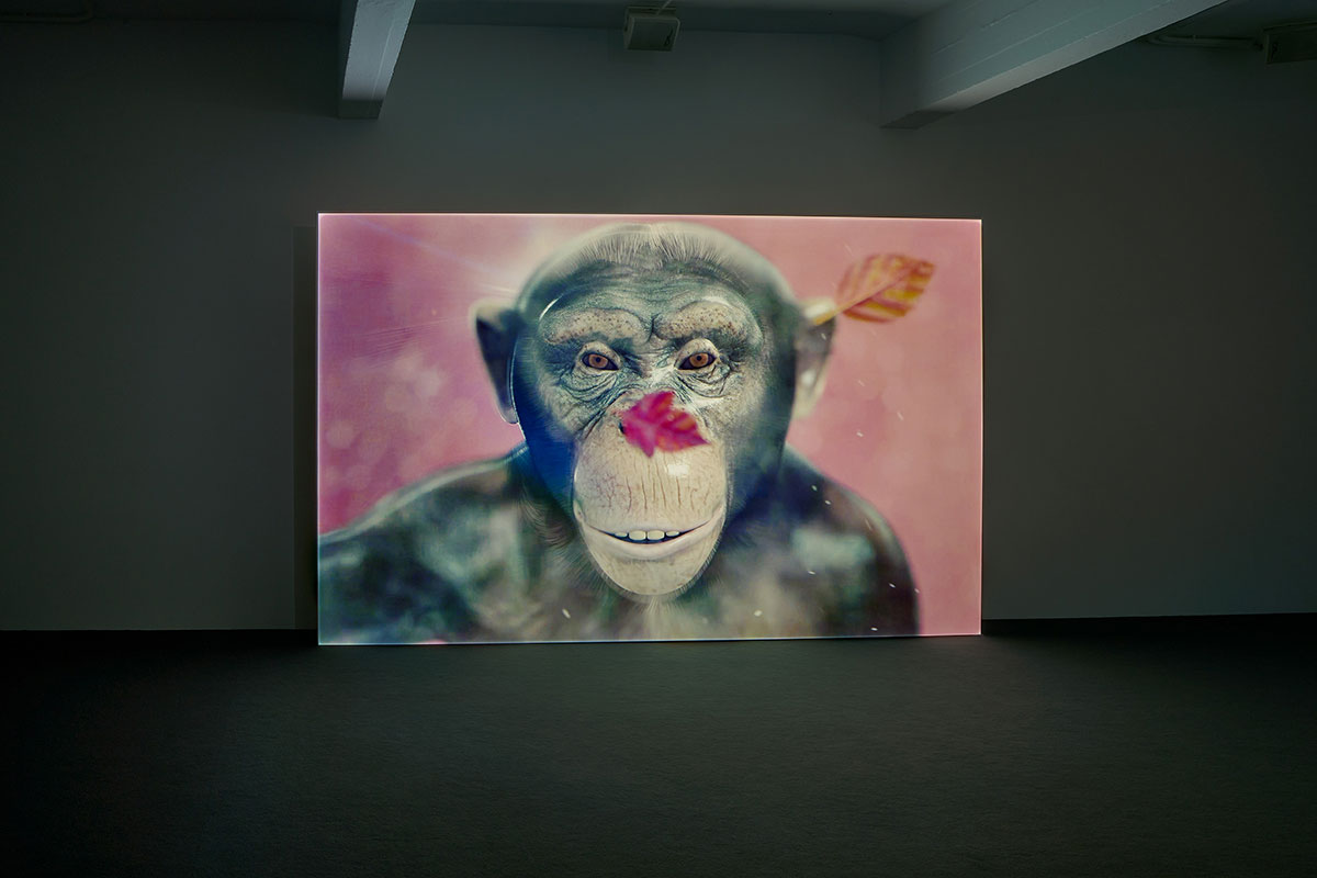 Installation view: WORLDBUILDING: Gaming and Art in the Digital Age, Julia Stoschek Collection, Düsseldorf, 2022, Courtesy Julia Stoschek Collection