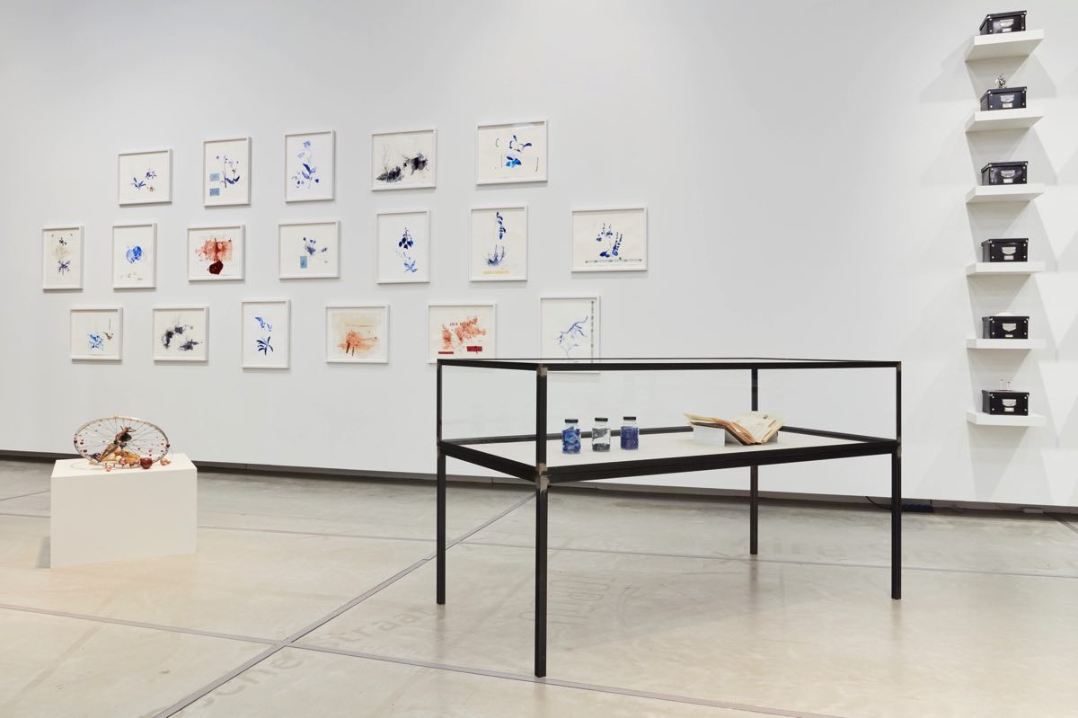 Ricardo Brey, Gap in the Clouds, Exhibition view Museum Hof van Busleyden- Mechelen, 2022, Courtesy the artist and Museum Hof van Busleyden