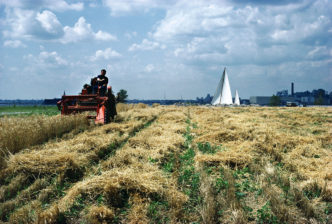 Agnes Denes, Wheatfield − A Confrontation: Battery Park Landfill, Downtown Manhattan – The Harvest, 1982, Chromogenic print; 40,6 × 50,8 cm, Courtesy Leslie Tonkonow Artworks + Projects, New York, © Agnes Denes, courtesy Leslie Tonkonow Artworks + Projects; photo: Agnes Denes