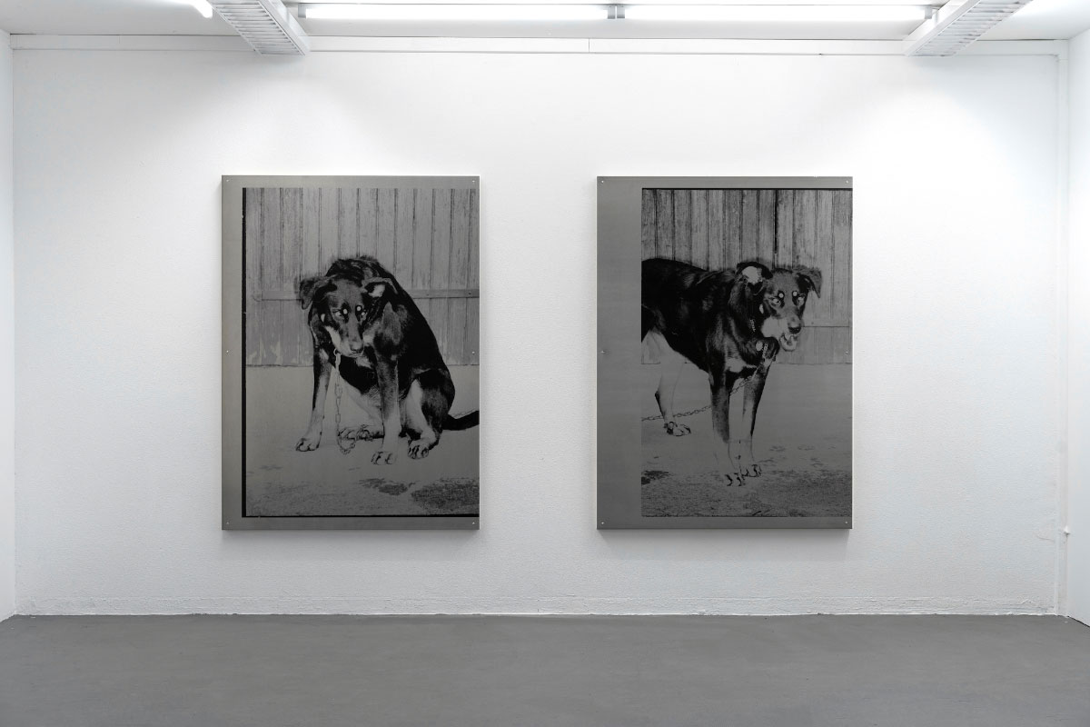 Kelly Tissot, Polka 3, 2021 / Polka 5, 2021, Digital prints on aluminium,150 x 110 cm each, Polka, 2021, suns.works, Zürich (CH), Photo: Claude Barrault Courtesy of the artist and suns.works