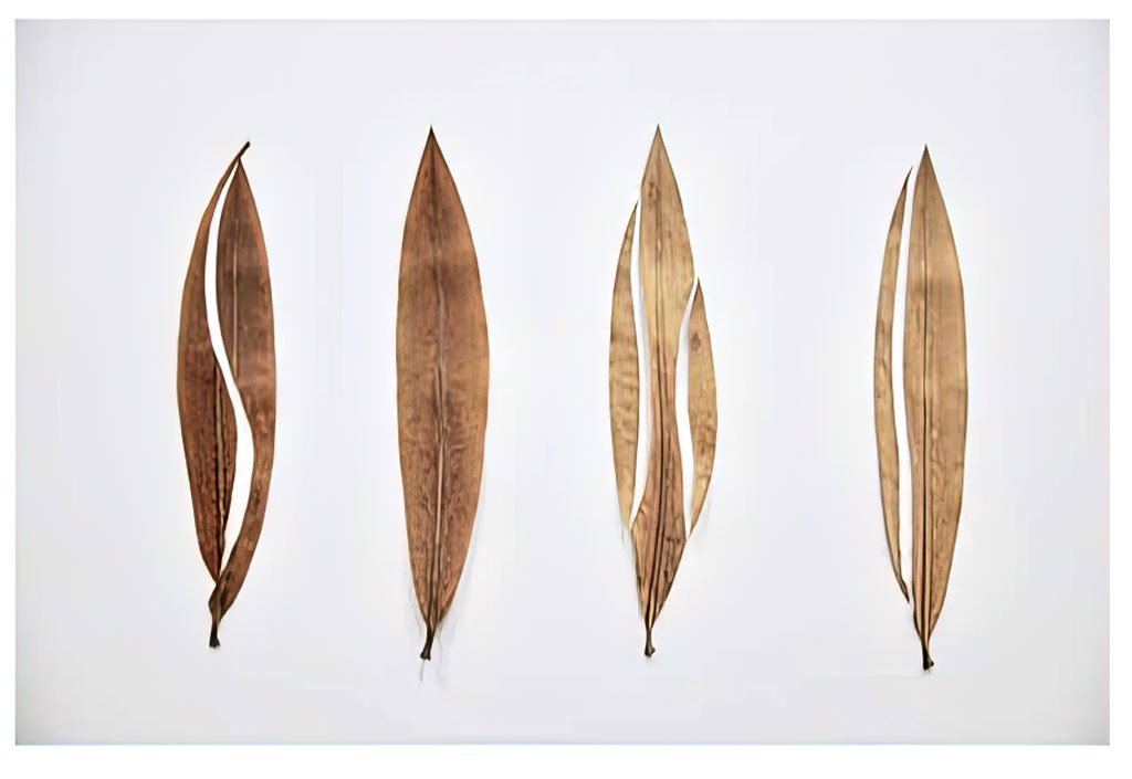 Philippe Van Snick, Eucalyptus, 1975/2015, Courtesy Philippe Van Snick Estate