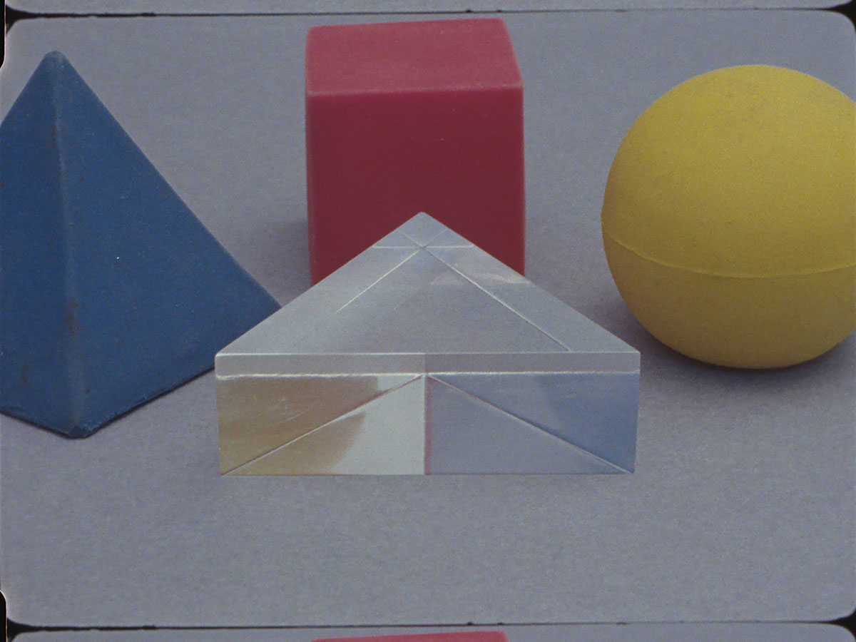 Yto Barrada, Tree Identification for Beginners, 2018, 16 mm film transferred to digital, color, sound, 36 minutes, film still. © Yto Barrada, courtesy Pace Gallery and Sfeir-Semler Gallery Beirut/Hamburg