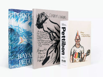 The Raymond Pettibon Collection, David Zwirner Books