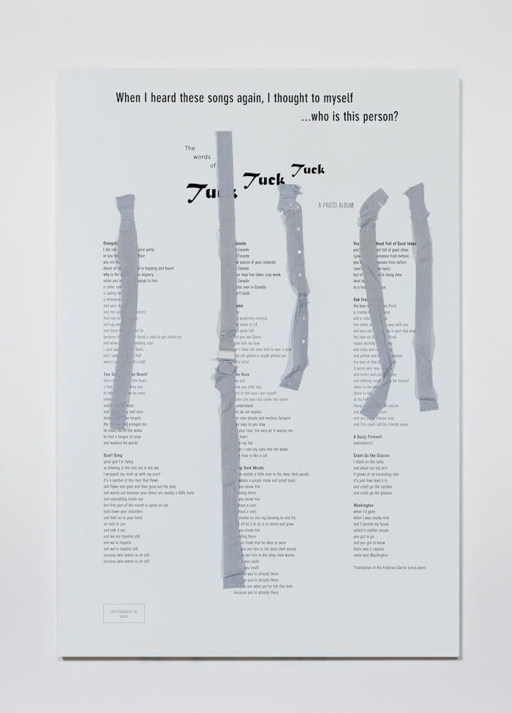 Richard Aldrich, The Pin Stripes of Tuck Tuck Tuck, 2014 (2013), Fabric and ink on dibond panel, 84 x 59 inches (213.4 x 149.9 cm), © Richard Aldrich, Courtesy the artist and Gladstone Gallery