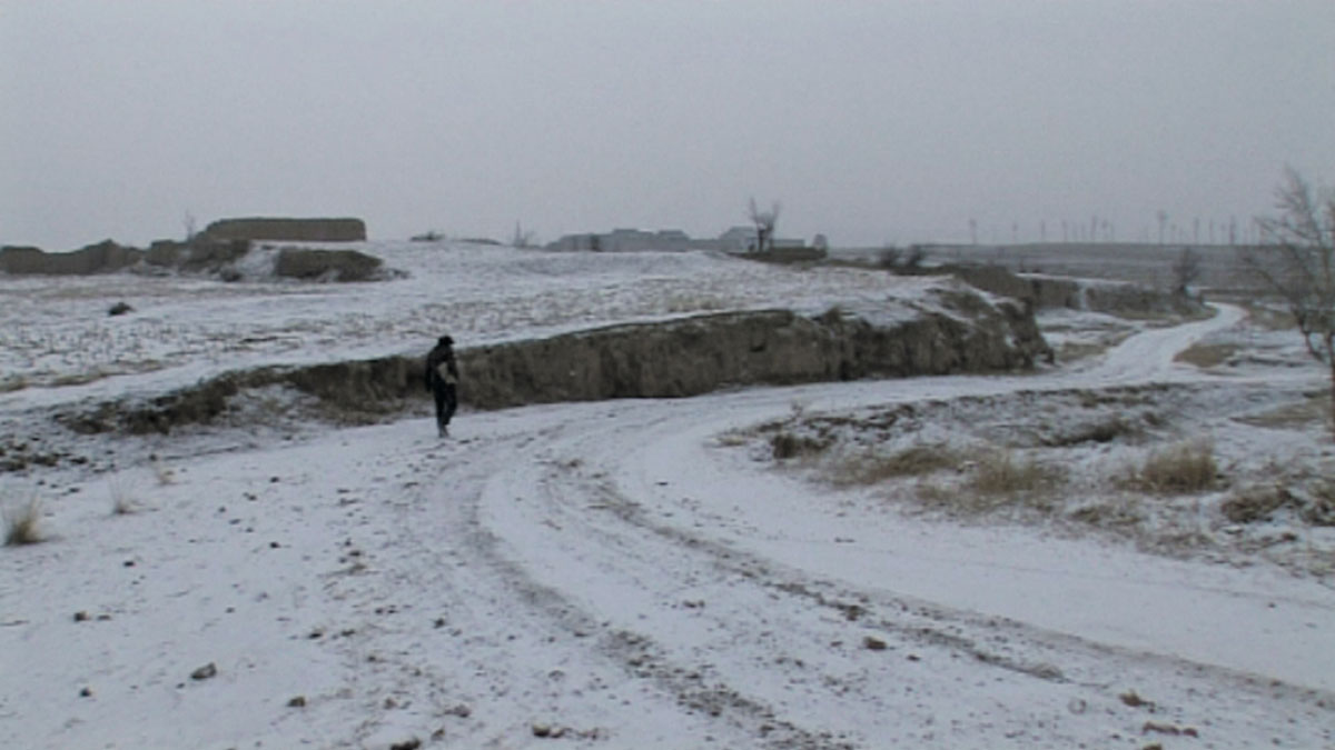 Wang Bing-The Walking Eye