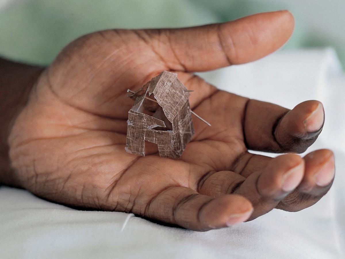 Donald Rodney, In the House of My Father, 1996–97, Photograph, C-print on paper, mounted on aluminum, 48 × 60 1/16 × 9/16 in. (122 × 153 × 1.42 cm), Lent by Birmingham Museums Trust on behalf of Birmingham City Council, © Estate of Donald Rodney