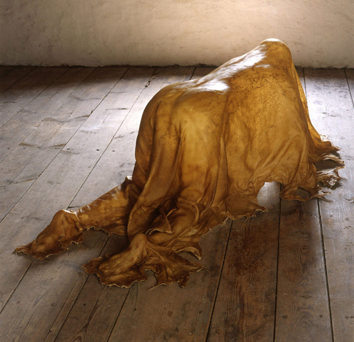 Janine Antoni