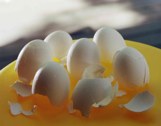 Torbjørn Rødland, Stolen Shells, 2022, Chromogenic print on Kodak Endura paper, Ed. 1/3 + 1 AP, Image 110 x 140 cm / 43 1/4 x 55 1/8 in, © Torbjørn Rødland, Courtesy the artist and Galerie Eva Presenhuber