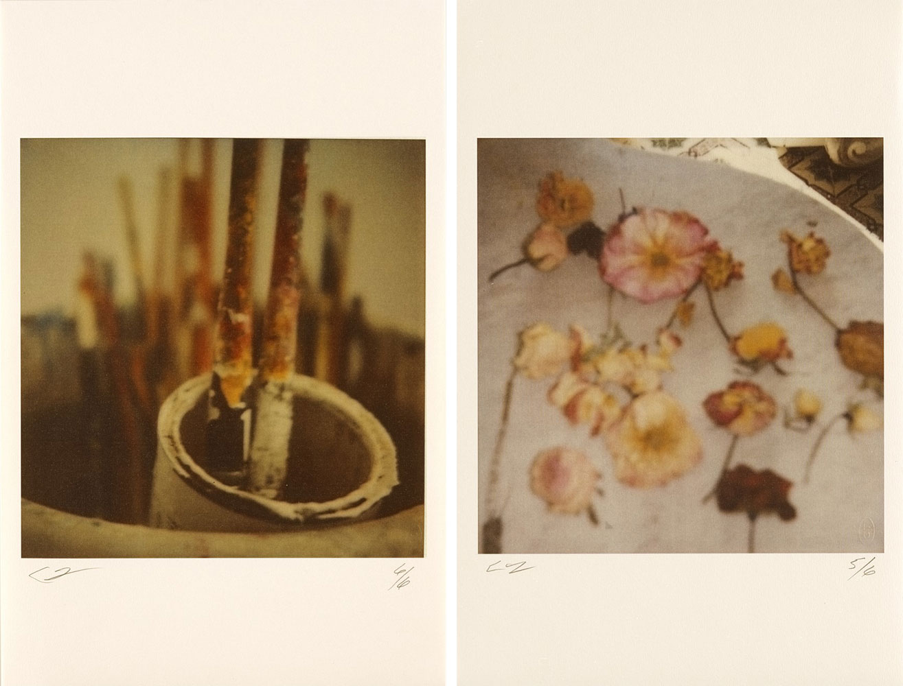 Left: Cy Twombly, Brushes (Lexington), 2005 Color dry-print, 17 × 11 inches (43.2 × 27.9 cm), edition of 6, © Nicola Del Roscio FoundationRight: Cy Twombly, Light Flowers V (Gaeta), 2008 Color dry-print, 17 × 11 inches (43.2 × 27.9 cm), edition of 6, © Nicola Del Roscio Foundation