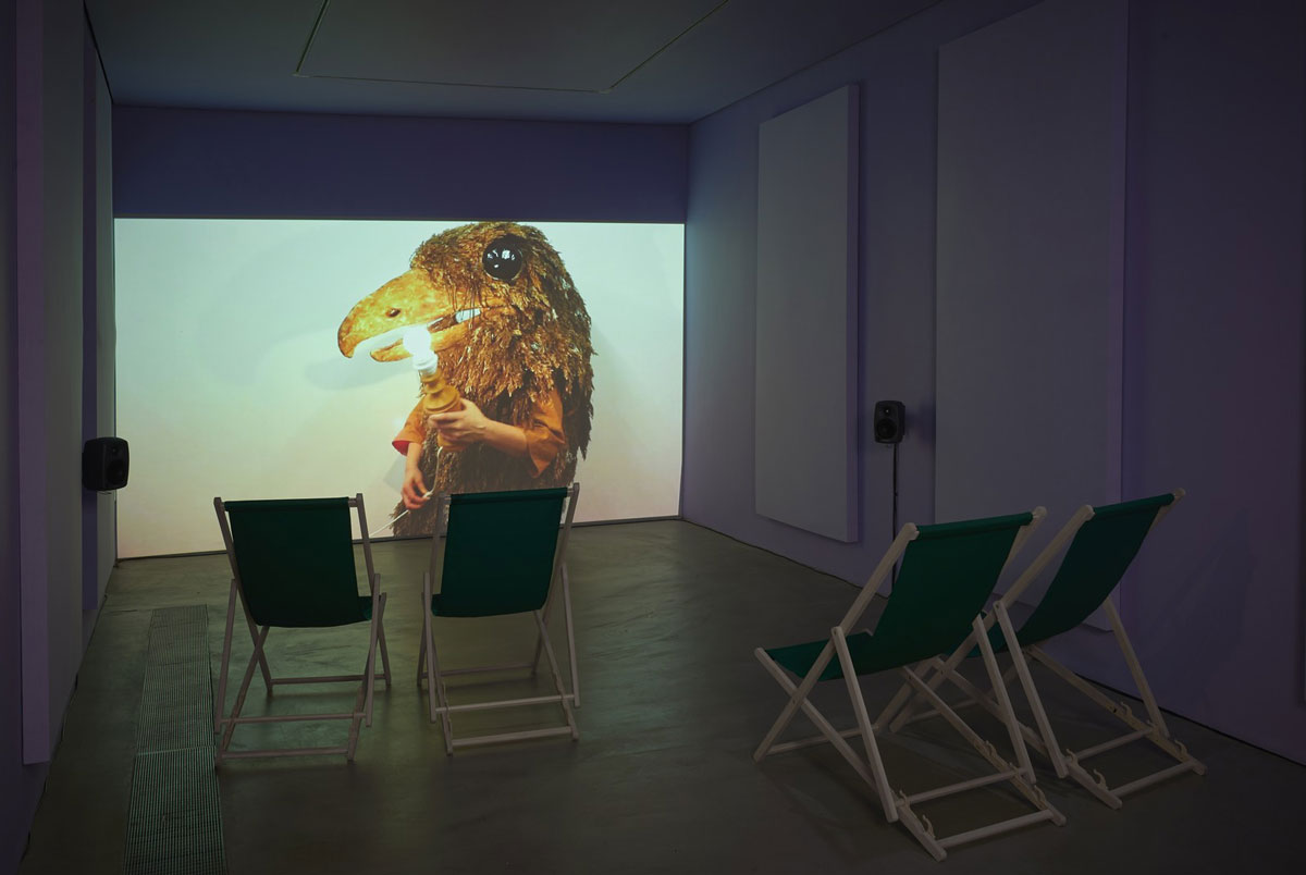 Ingela Ihrman, Oilbird with Nestling, 2021. Video HD, sound, 6 min. Exhibition view. Photo: Andy Keate, © Ingela Ihrman, Courtesy the artist and GAsworks