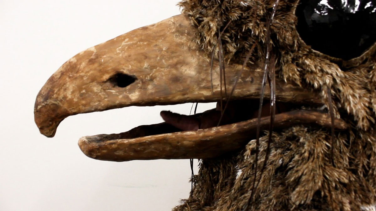 Ingela Ihrman, Oilbird with Nestling (Video still), 2021. Video HD, sound, 6 min, © Ingela Ihrman, Courtesy the artist and Gasworks