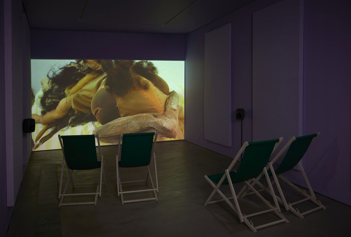 Ingela Ihrman, Oilbird with Nestling, 2021. Video HD, sound, 6 min. Exhibition view. Photo: Andy Keate, © Ingela Ihrman, Courtesy the artist and GAsworks