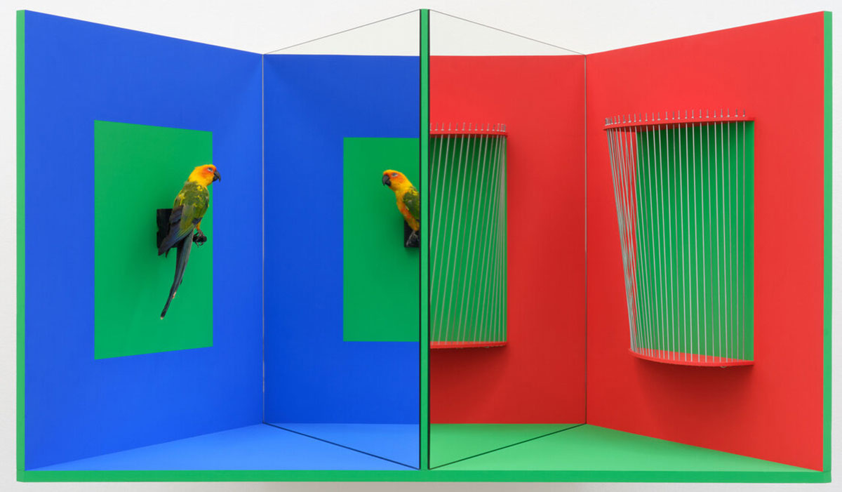Julian Hoeber, In and Out of Captivity, 2023, Plywood, glass mirror, steel wire, chroma-key paint, acrylic paint, and taxidermy parrot, 28 3/4 x 49 7/8 x 22 inches, Photo: Heather Rasmussen, © Julian Hoeber, Courtesy the artist and Blum & Poe Gallery