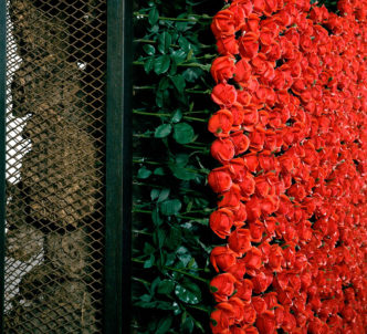 Chen Zhen, Le Produit naturel / Le Produit artificial, 1991 (detail). Metal, Plexiglas, artificial flowers, screen printed mirror, cow dung, 297 x 170 x 55 cm. Photo: Ela Bialkowska. © ADAGP, Paris