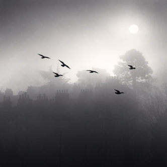 Michael Kenna, Six Flying Birds, Bath, Avon, England, 1987, Toned silver print, 8 x 7.75 inches, edition of 25, © Michael Kenna, Courtesy the artist and Robert Mann Gallery