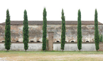 Candida Höfer, Trees Pegognaga IV, 2021, © Candida Höfer, Courtesy the artist and  Macao Museum of Art