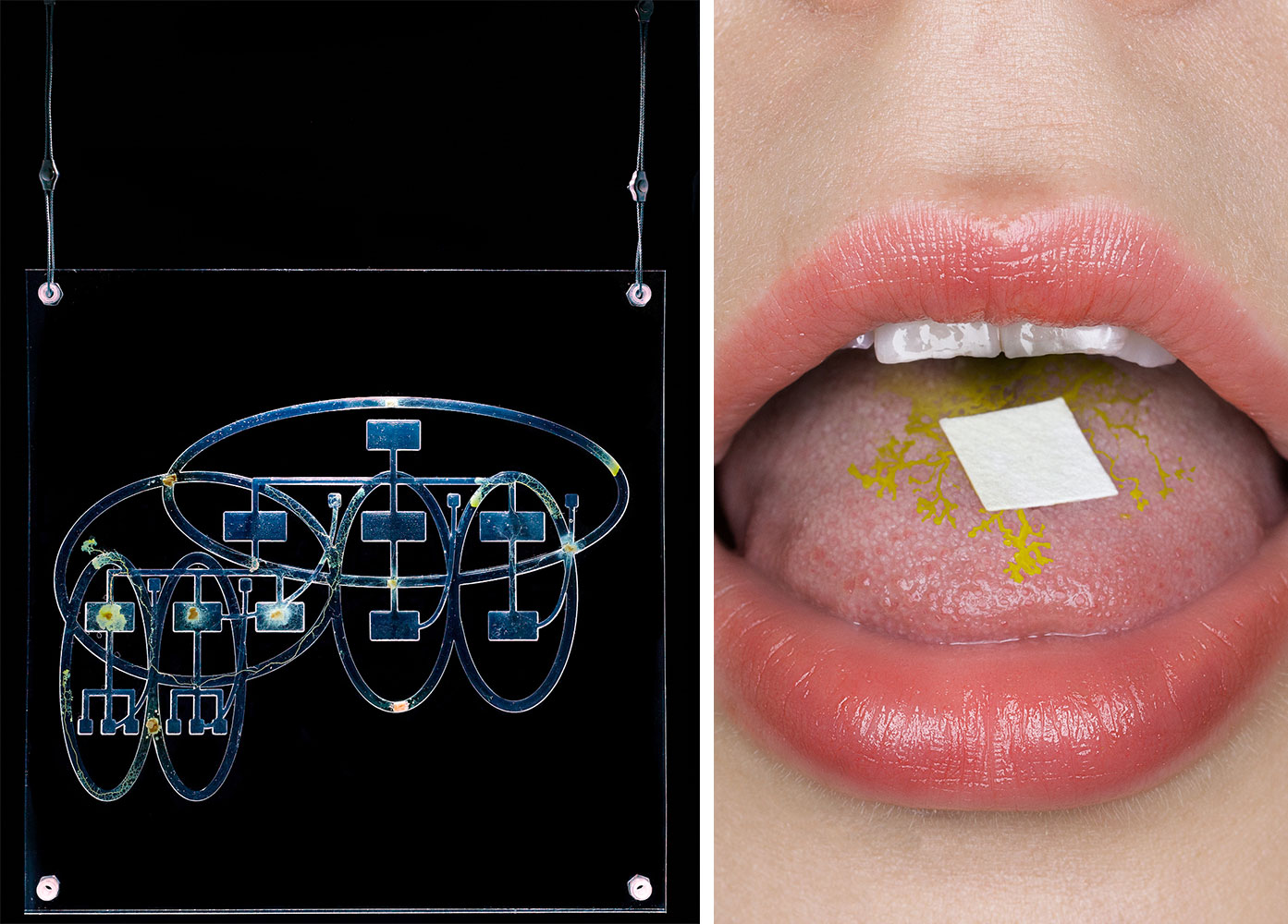 Left: Jenna Sutela, From Hierarchy to Holarchy, 2017, physarum polycephalum, agar and oats, CNC engraving on plexiglass, 40 x 40 x 1 cm. Courtesy of the artist. Photo © Kraupa-Tuskany ZeidlerRight: Jenna Sutela, Many-Headed Reading, 2016, aluminium frame, 22 x 15 cm. Courtesy of the artist. Photo © Mikko Gaestel 