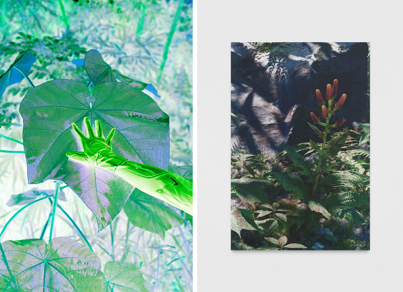 Left: Patricia Dominguez, Matrix Vegetal; comparto mi espíritu con tu flor, 2021analogue photograph on Hahnemühle Ultra Rag Smooth 305g paper, framed with rounded white wooden frame and UV antireflective glass, 100 x 66 x 3 cm. Courtesy the artist & The RYDERRight: Timur Si-Qin, Untitled (natural origin, 9), 2023, Custom aluminum dibond copper panel, gesso, UV-print, 99 x 66 x 3.2 cm. Courtesy the artist & Société, Berlin 