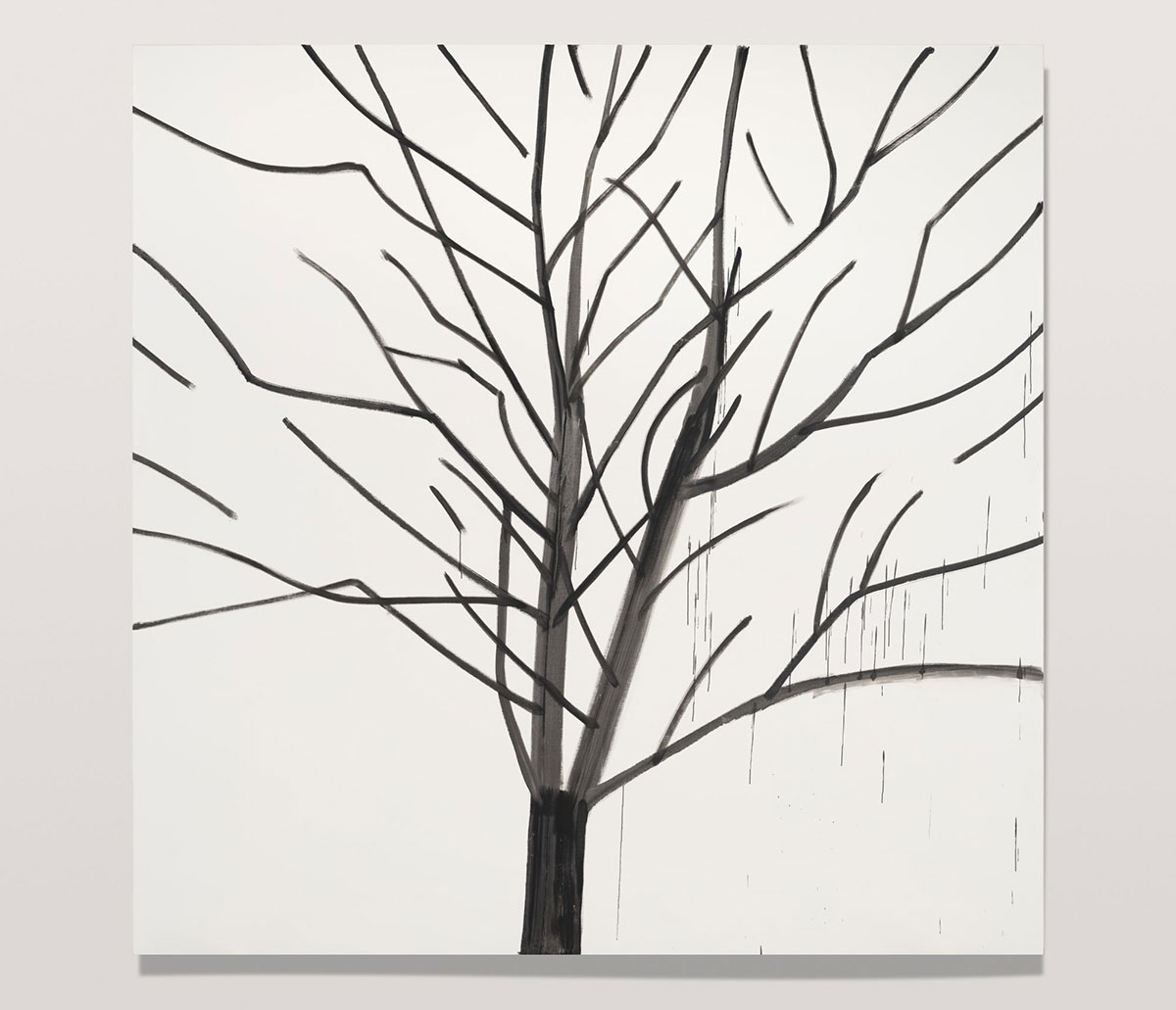 Alex Katz. Winter Tree 1, 2023. Oil on linen. 120 x 120 inches (304.8 x 304.8 cm). © Alex Katz / Artists Rights Society (ARS), NY. Courtesy of the artist and Gladstone Gallery. Photography by David Regen