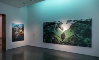 Erno Enkenberg, Beekeepers I (2023), Sahelanthropus tchadensis (2015), Installation view, Photo: Finnish National Gallery / Petri Virtanen