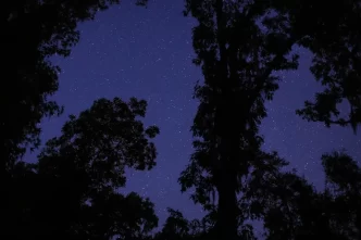 Allison Janae Hamilton, Celestine (Florida Storm), 2025, Single-channel film with color and sound, Total runtime: 12:16, Edition of 5 plus 2 artist’s proof, © Allison Janae Hamilton, Courtesy the artist and Marianne Boesky Gallery