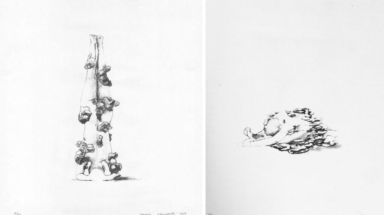 Yaşam Şaşmazer, © the artist, Courtesy Yaşam Şaşmazer and Zilberman Gallery
