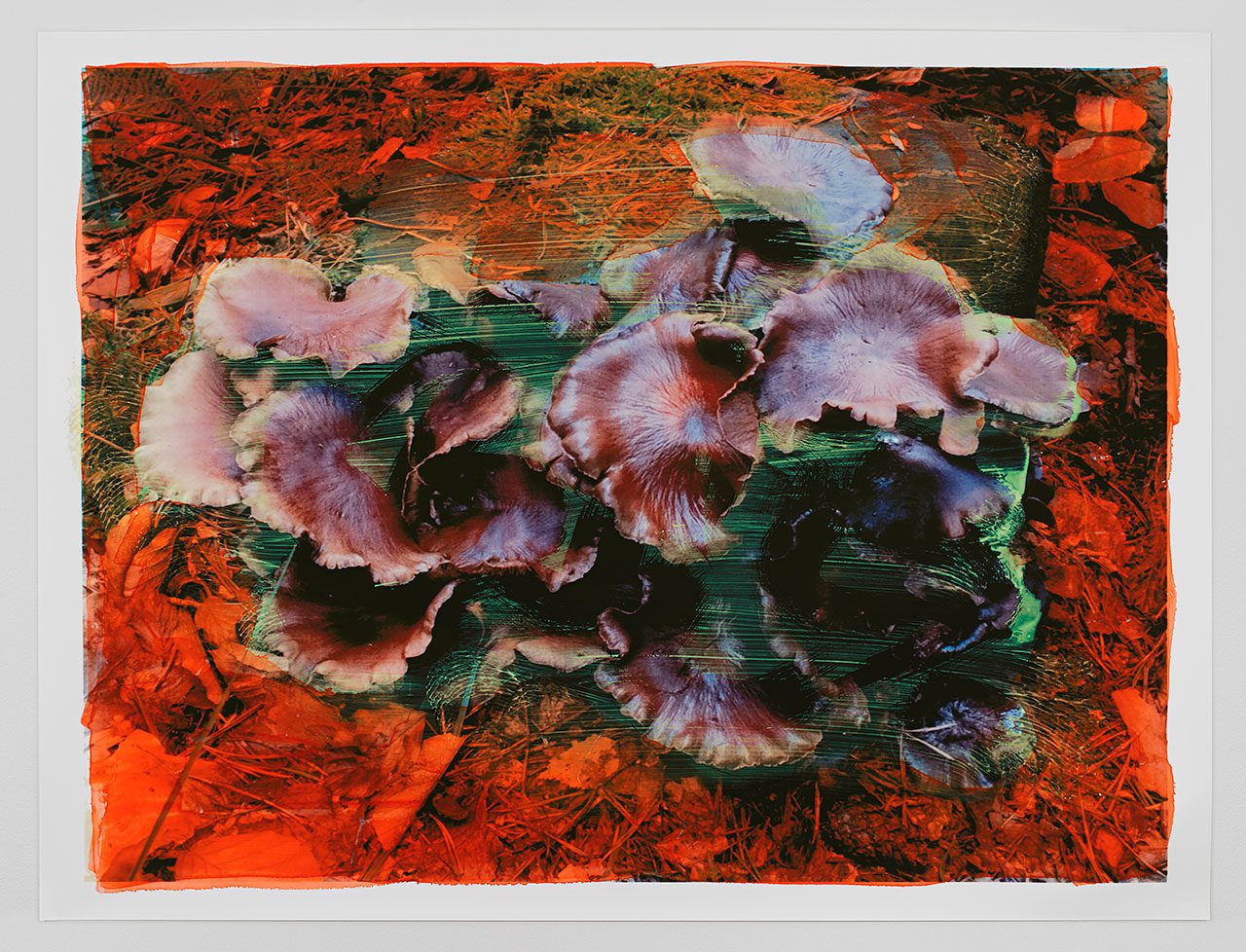 Viviane Sassen, Polyporus Badius, 2017, 150 x 200 cm, c-print, © Viviane Sassen, Courtesy of the artist and Stevenson (Cape Town, Johannesburg, Amsterdam)