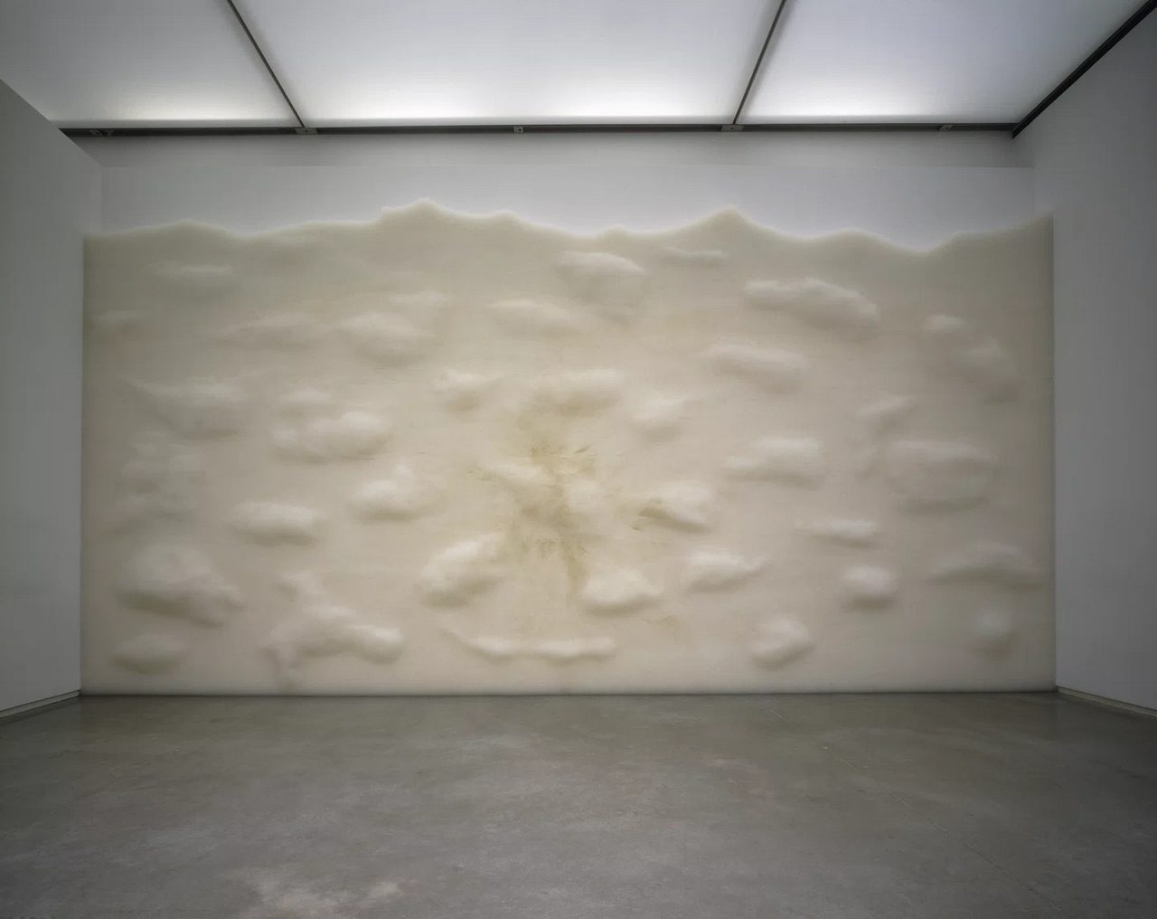 Haze by Tara Donovan Tara Donovan, Haze, 2005, translucent plastic drinking straws, dimensions variable