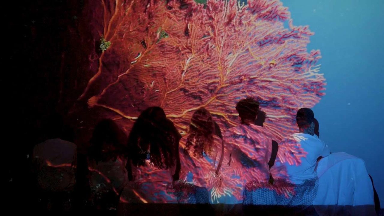 Joan Jonas, Moving Off the Land II (video still), 2019 © Courtesy of the artist